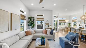 TV connectée, cheminée, jeux vidéo, livres