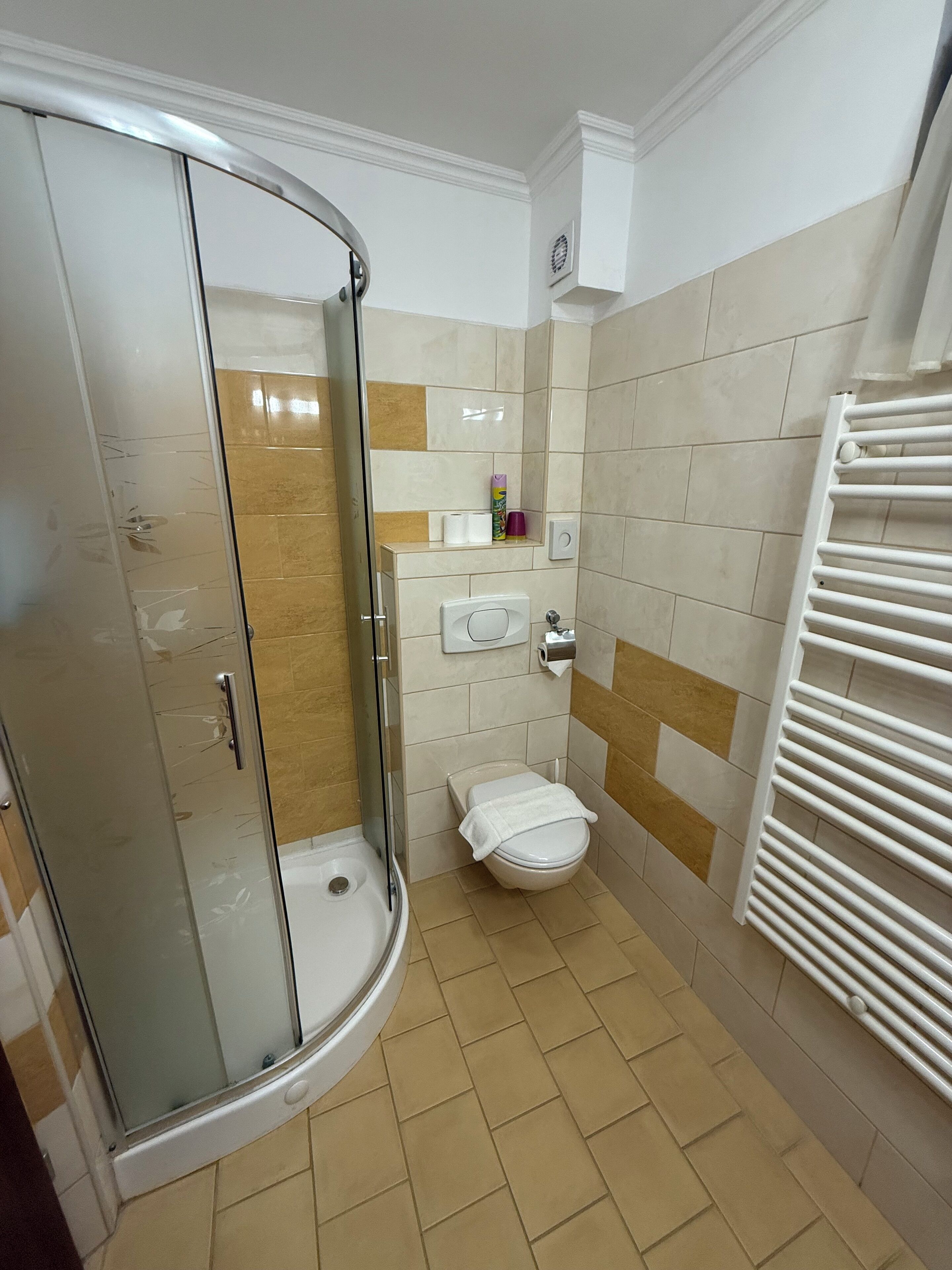 A bathroom with a glass-enclosed shower, a toilet, and a towel rack.