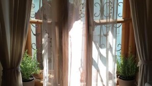 Una stanza con una finestra ornata da tende leggere, un termosifone sottostante e due piante in vaso su ciascun lato.