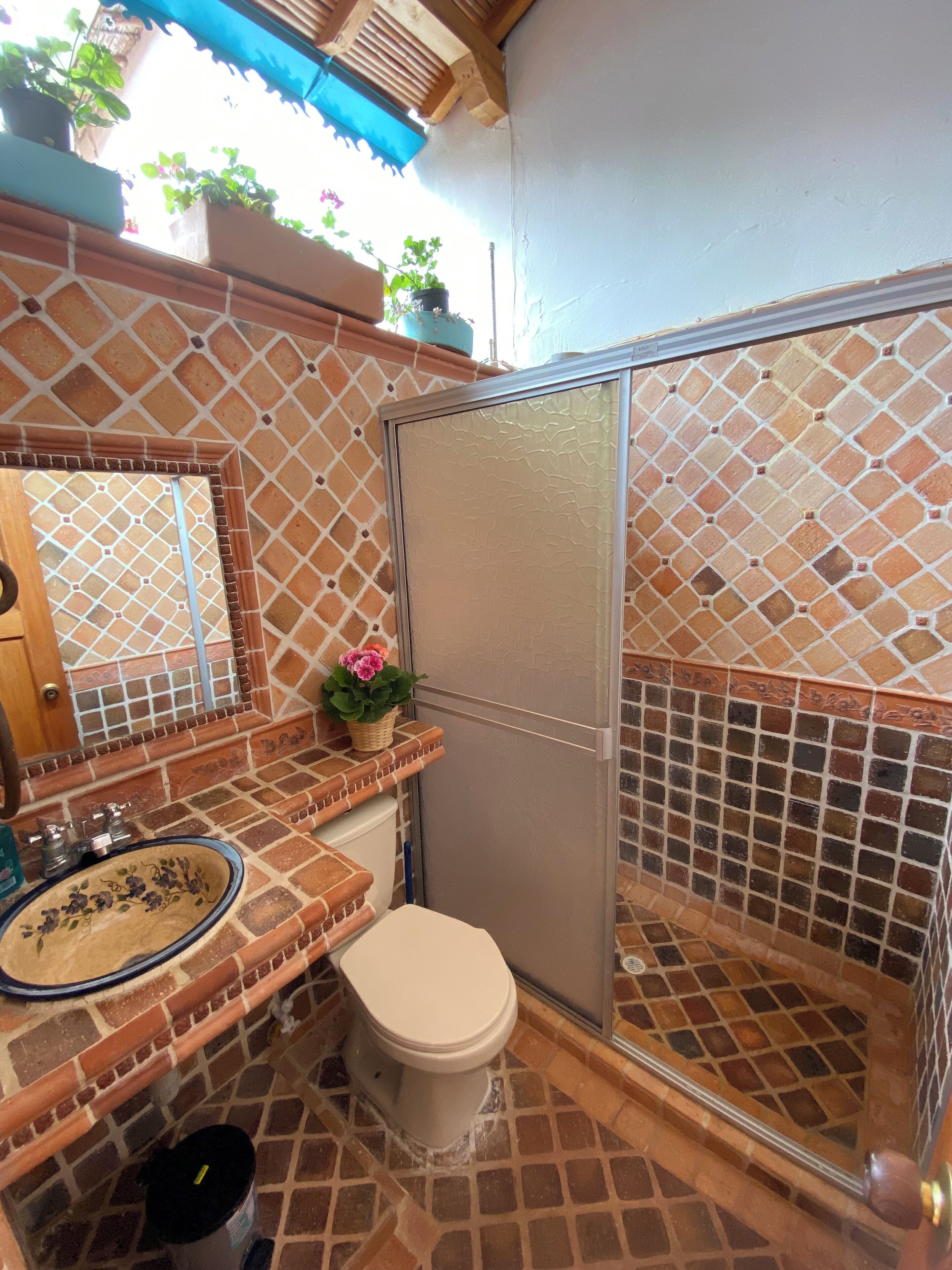 Shower, towels, soap, toilet paper