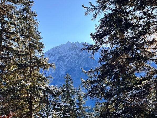 Ein Berg mit schneegebirschten Bäumen im Vordergrund.