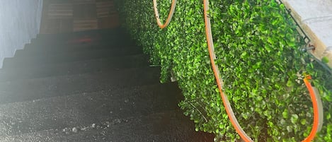 Overnattingsstedets uteområder