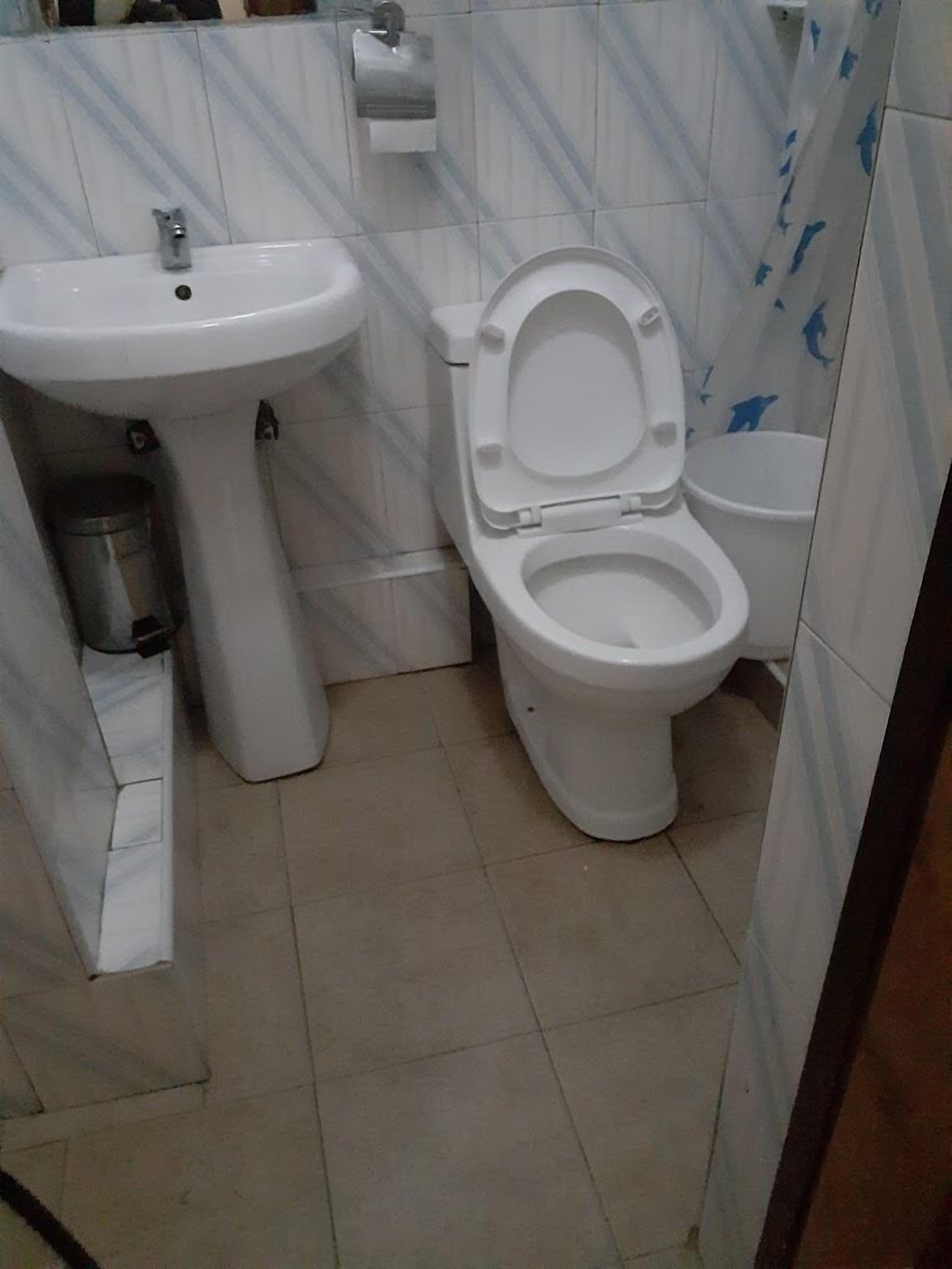 A bathroom with a pedestal sink, toilet, and a trash bin.