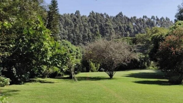 Garden - Victoria Ridge Hotel Laare (Laare)