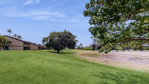 A well-maintained grassy area with a large tree, a building with a sloped roof, and a clear sky. - Bright North Shore Condo With Loft, Golf Views, and Resort Amenities (Kahuku)