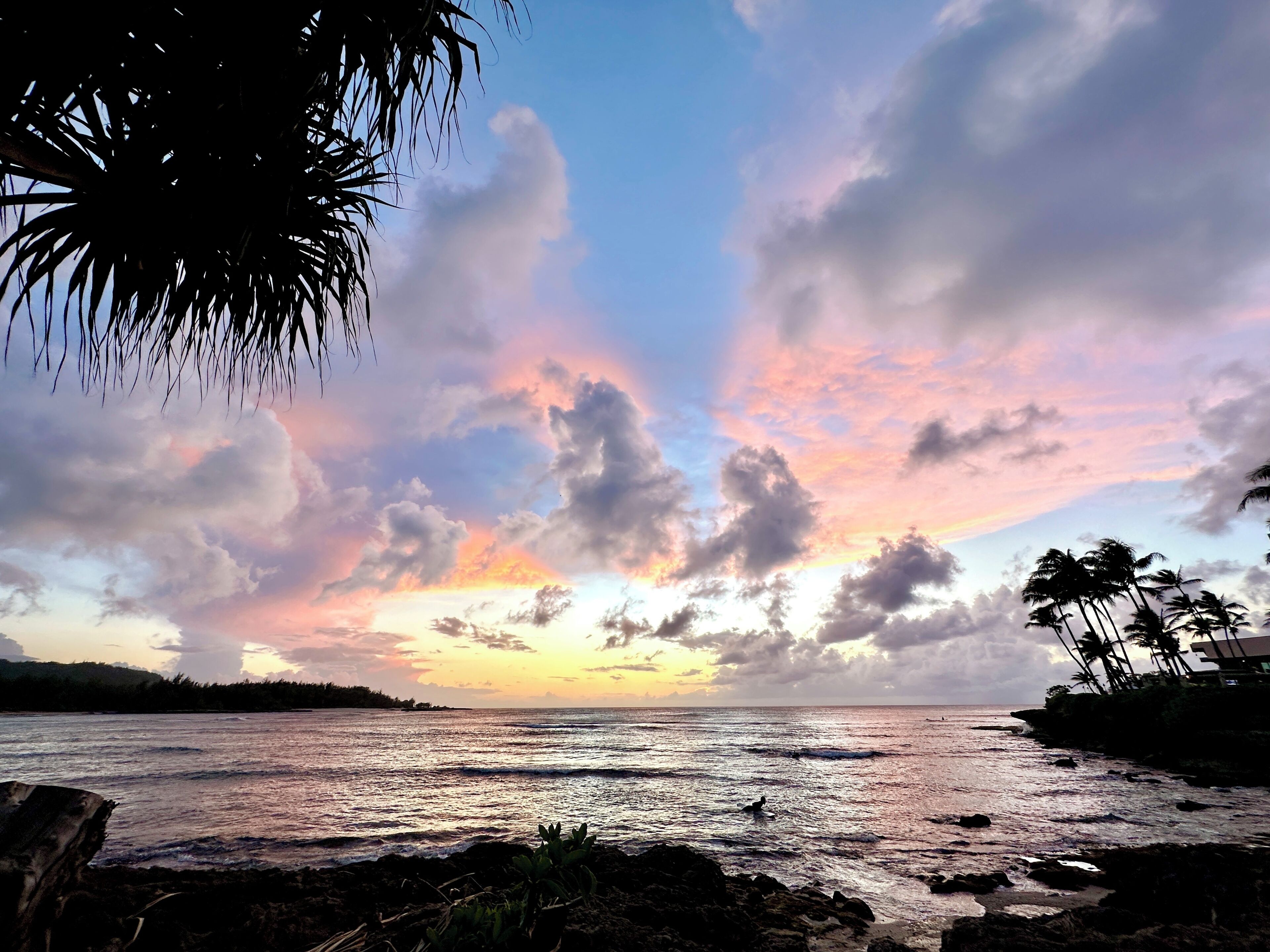 A coastal sunset with a view of the ocean and palm trees.