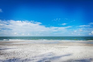 Beach - Across the street from Indian Shores Beach Condo (Indian Shores)