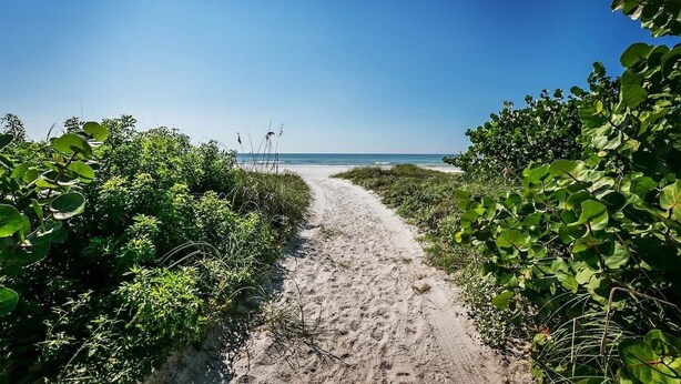 A sandy path leading to a beach with dense greenery on both sides. - The Cozy condo at Belleview Gulf (Indian Shores)