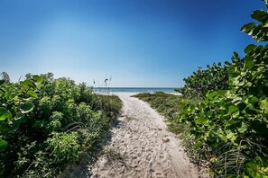 Een zandpad dat naar een strand leidt, met weelderige begroeiing aan beide zijden.