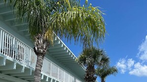 A row of white buildings with balconies, outdoor seating, and a grassy area with palm trees. - The Cozy condo at Belleview Gulf (Indian Shores)