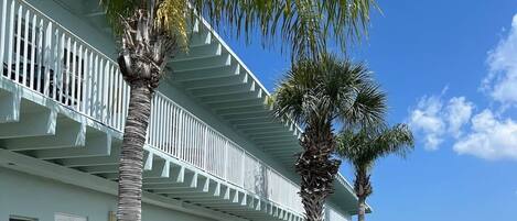 A row of white buildings with balconies, outdoor seating, and a grassy area with palm trees.