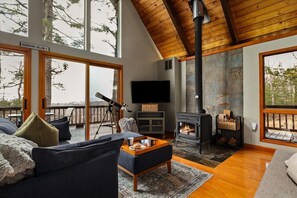 Smart TV, fireplace, books