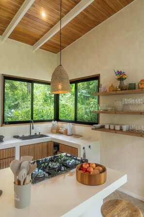 Private kitchen - Jungle 2-bedroom villa with private pool, Starlink, 5 minutes from the water (Cabuya)