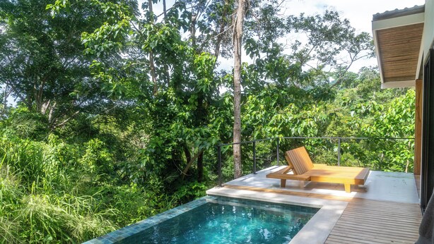 Piscina retangular com deck de madeira e espreguiçadeiras, rodeada por vegetação exuberante.