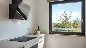 Et moderne køkken med et indbygget komfur, et vindue med udsigt til grønne omgivelser, og en lille plante på bordpladen.