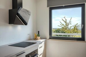 Eine moderne Küche mit Einbauherd, einem Fenster mit Blick ins Grüne und einer kleinen Pflanze auf der Arbeitsfläche.
