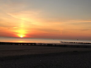 Beach - Chalet the Greenhouse - Right by the Sea (Koudekerke)