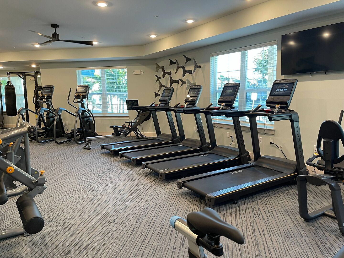 A gym with treadmills, elliptical machines, and weightlifting equipment.