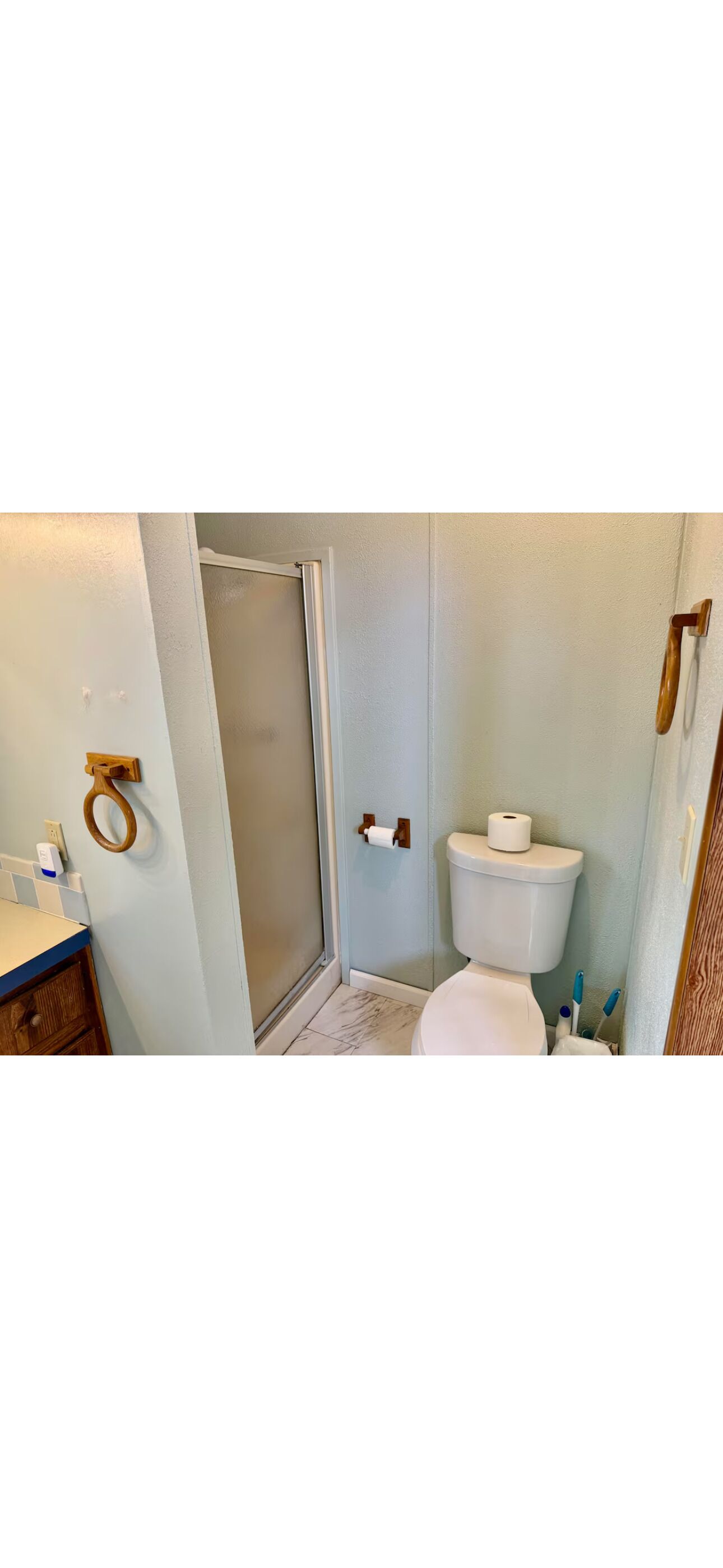 Hair dryer, towels, soap, toilet paper