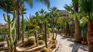 Un jardin agrémenté de différents types de cactus et de palmiers, un sentier pavé et un bâtiment visible au loin.