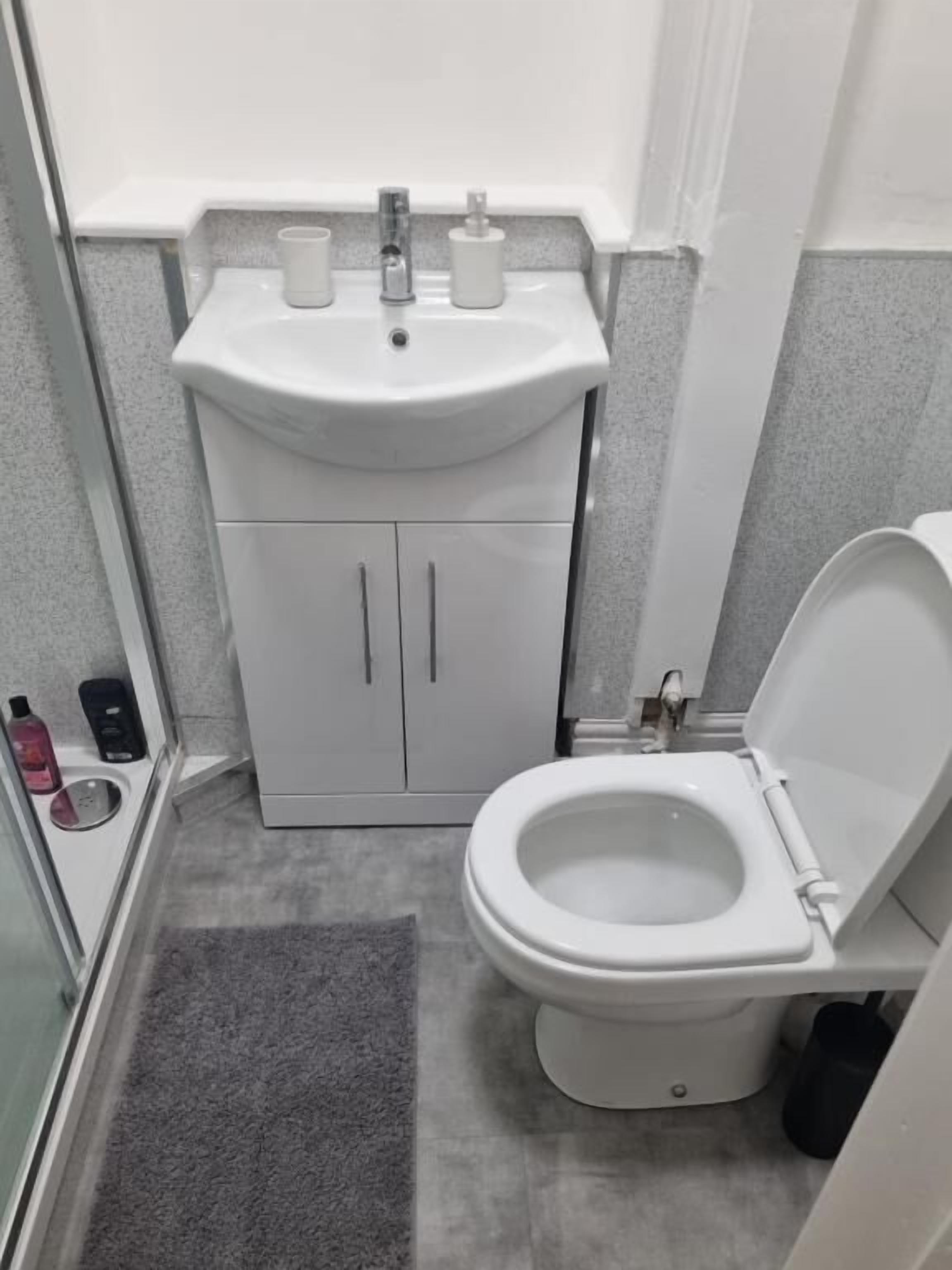 Un baño pequeño con un lavamanos blanco, dos armarios, un inodoro y una pequeña alfombra.