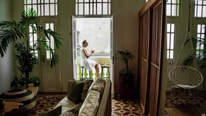 Une pièce avec un canapé, un fauteuil suspendu et une grande plante en pot.
