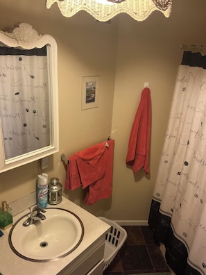 Soap - Beautiful 3-bedroom duplex with AC in East Wenatchee.Near to tourist locations. (East Wenatchee)