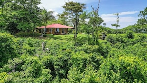 Une maison entourée d’une végétation luxuriante et d’arbres.
