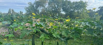 2-bedroom bed & breakfast in Beautiful Middle Tennessee sleeps 7 guests