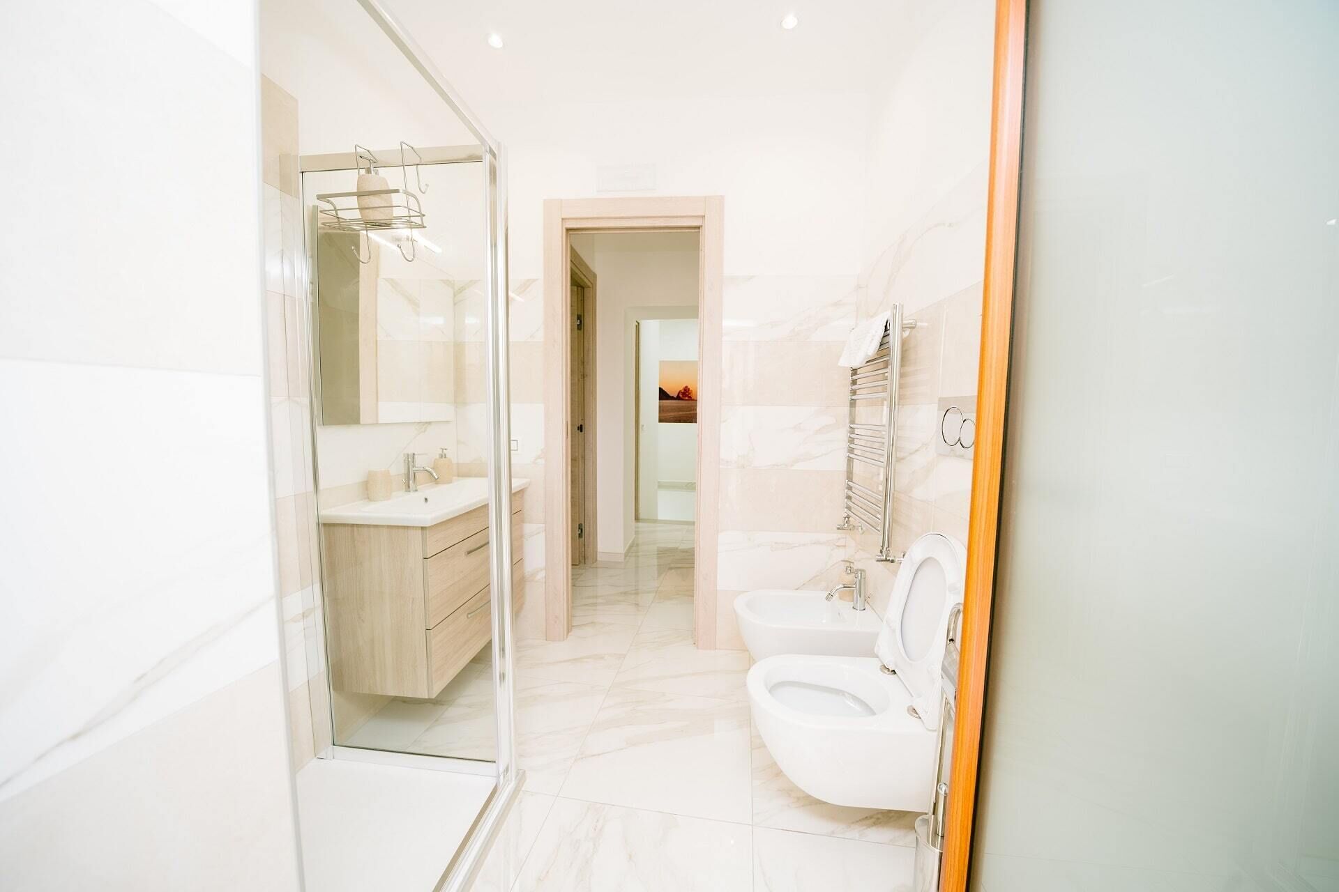 Regadera, secadora de cabello, bidet, toallas 