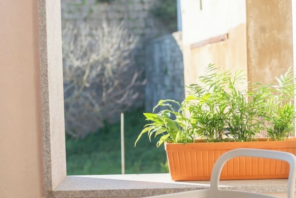 A window with a view of a garden, a potted plant, and a white chair.