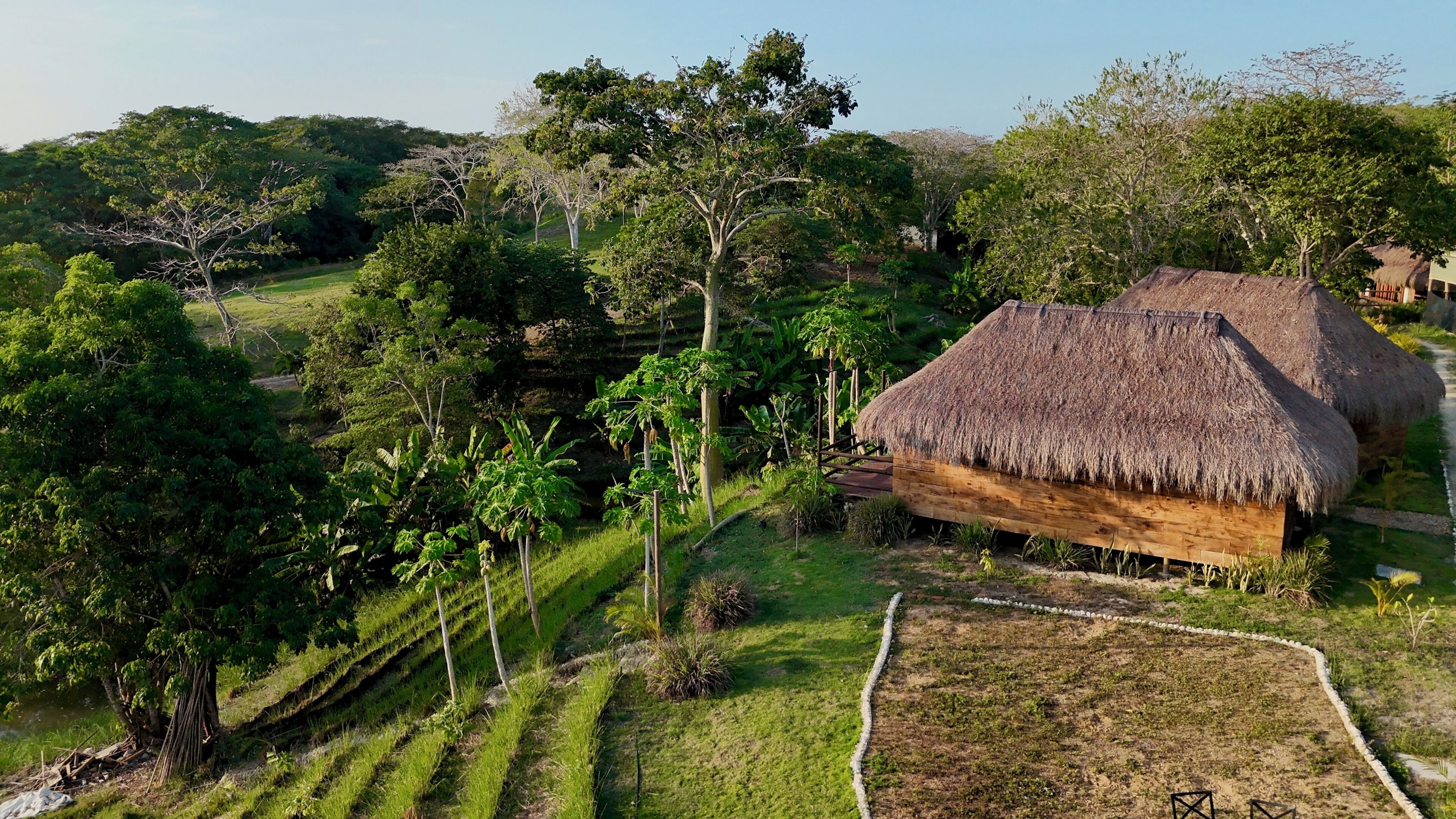 デラックス キャビン ガーデンビュー | 施設の敷地
