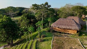 Deluxe-hytte - udsigt til have | Overnatningsstedets område