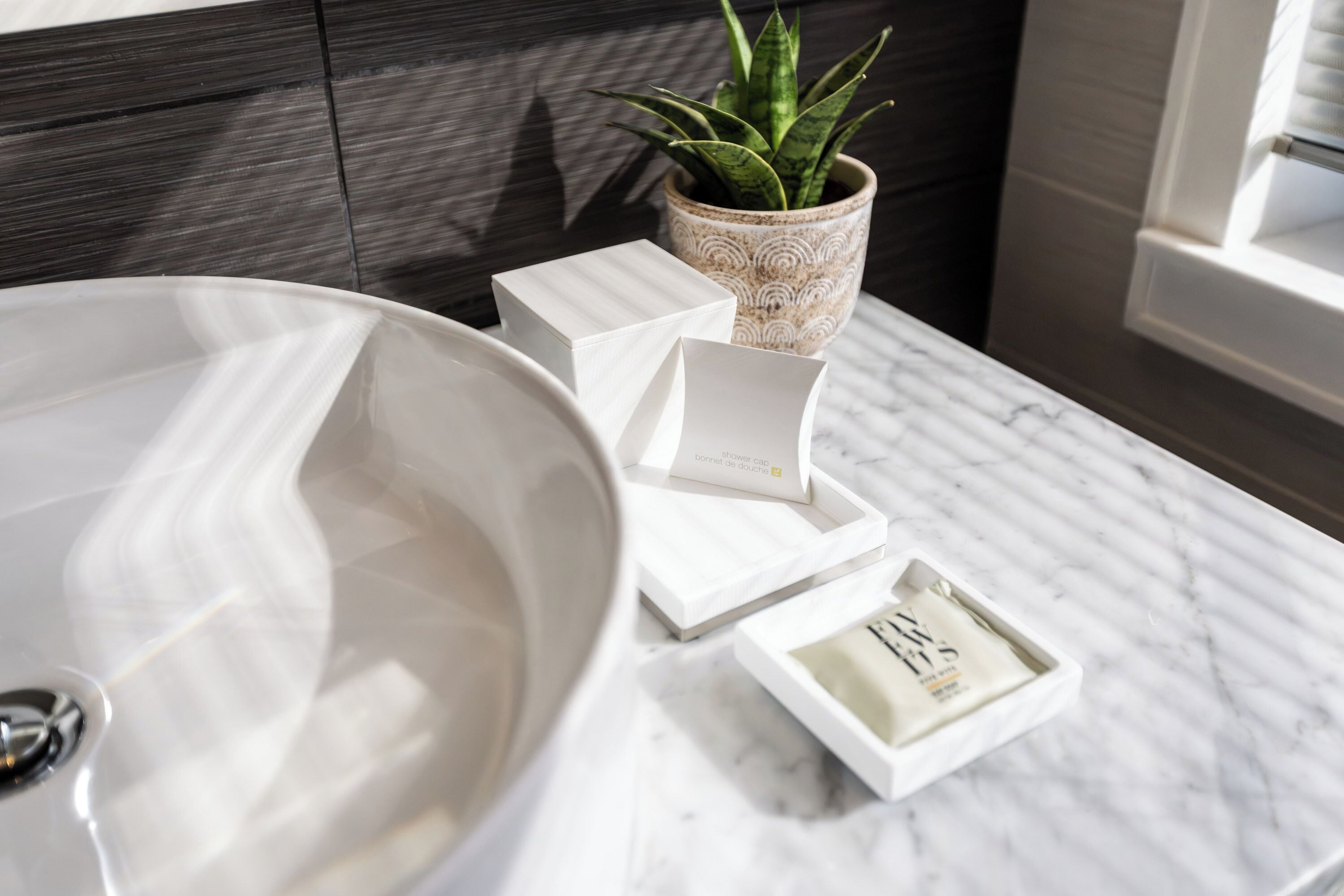 A bathroom with a white sink, a potted plant, and a shower cap on a marble countertop.