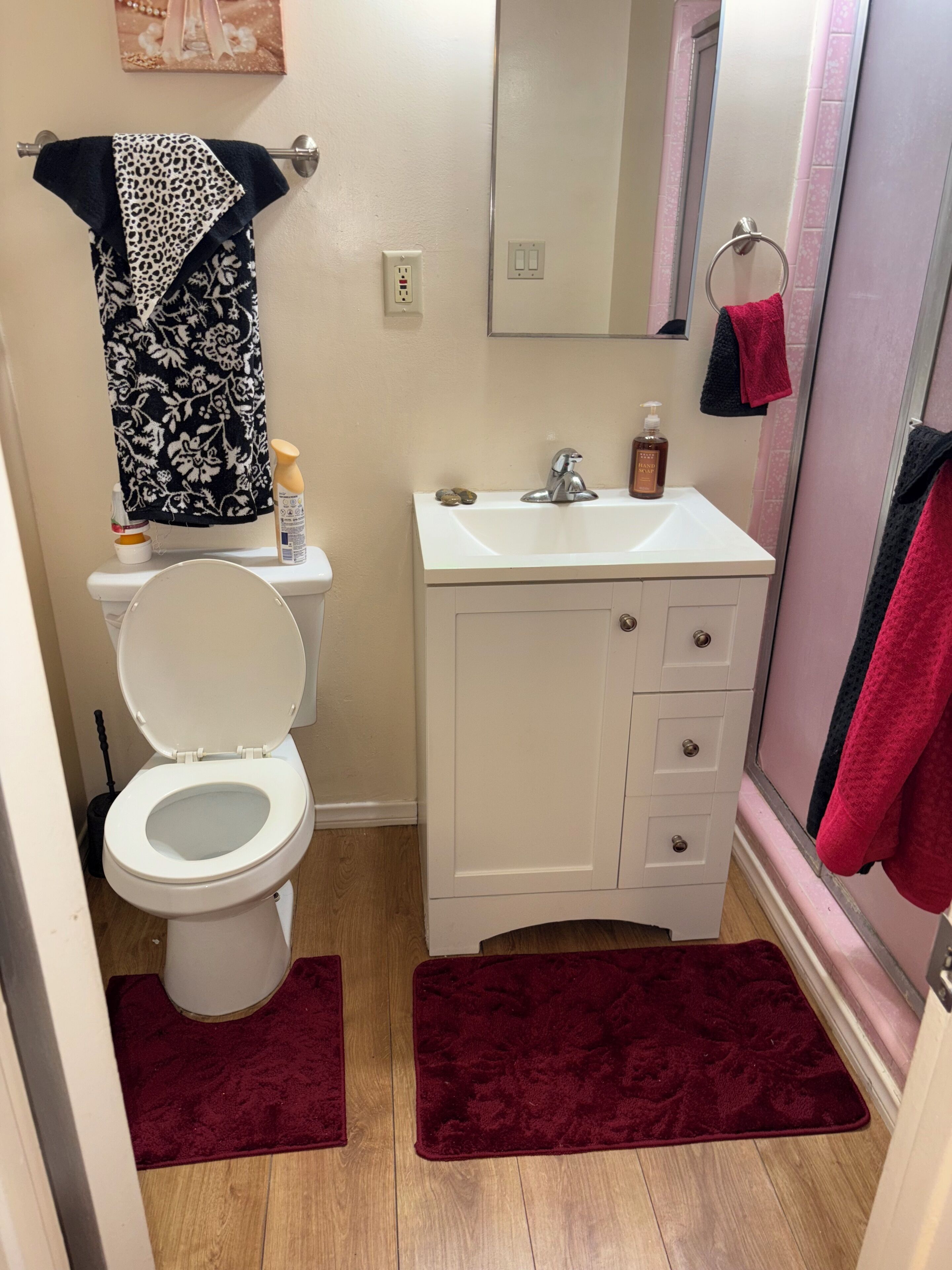 Regadera, toallas, jabón, papel de baño 