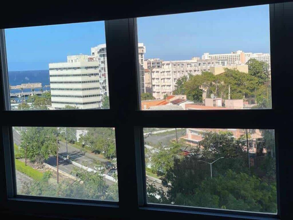 Imagen de perfil del propietario o de la propietaria