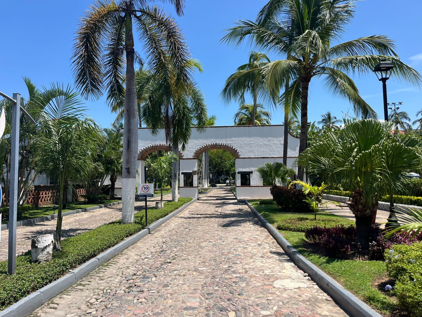 Un sendero conduce a un edificio con arcos, rodeado de palmeras y vegetación.