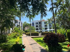 Property grounds - Puerto de Luna: King Room with Pool Access (Puerto Vallarta)