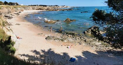 Appartement Océan - Grand Bleu Terrasse Parking CÎte Sauvage
