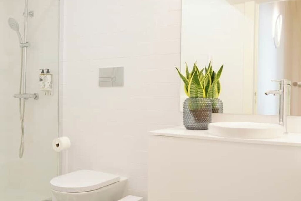 Shower, hair dryer, soap