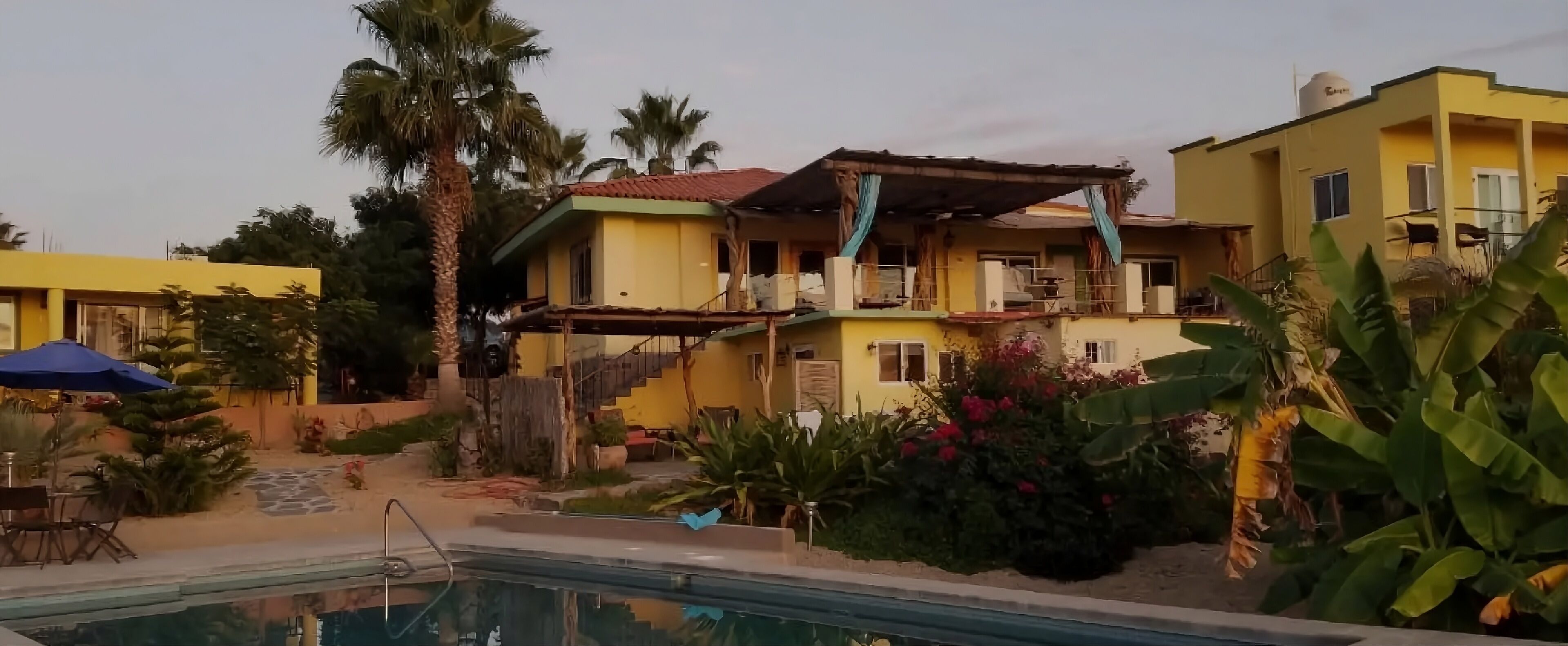 Zona residencial con piscina, casas amarillas y plantas tropicales.