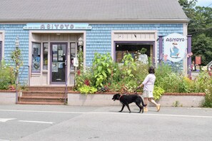 Exterior - Steps to Lecount Hollow Beach! (Wellfleet)