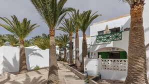 A narrow street lined with palm trees and white buildings with green shutters.