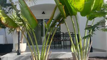 Detalle del exterior