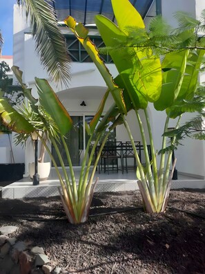 Detalle del exterior