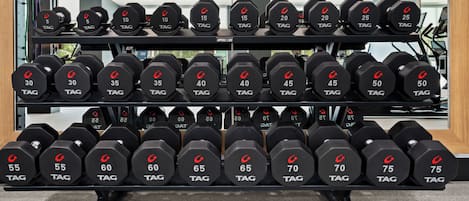A rack of dumbbells with weights ranging from 5 to 75 pounds, organized in ascending order.