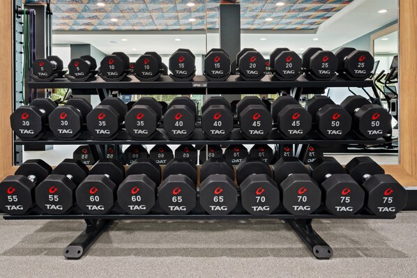 Een rek met dumbbells, met gewichten variërend van 2,5 tot 34 kilogram.