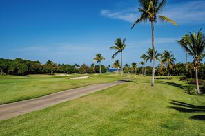 A golf course with a clear path, palm trees, and a view of the ocean.