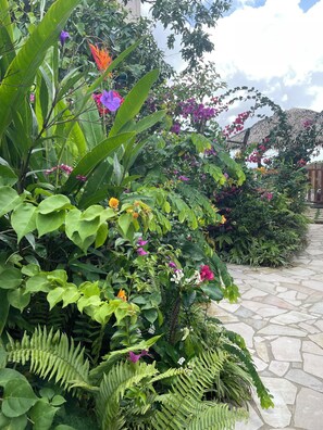 Property grounds - EMERAUDE - Splendid T2 in a green setting - Clim (Saint-Joseph)