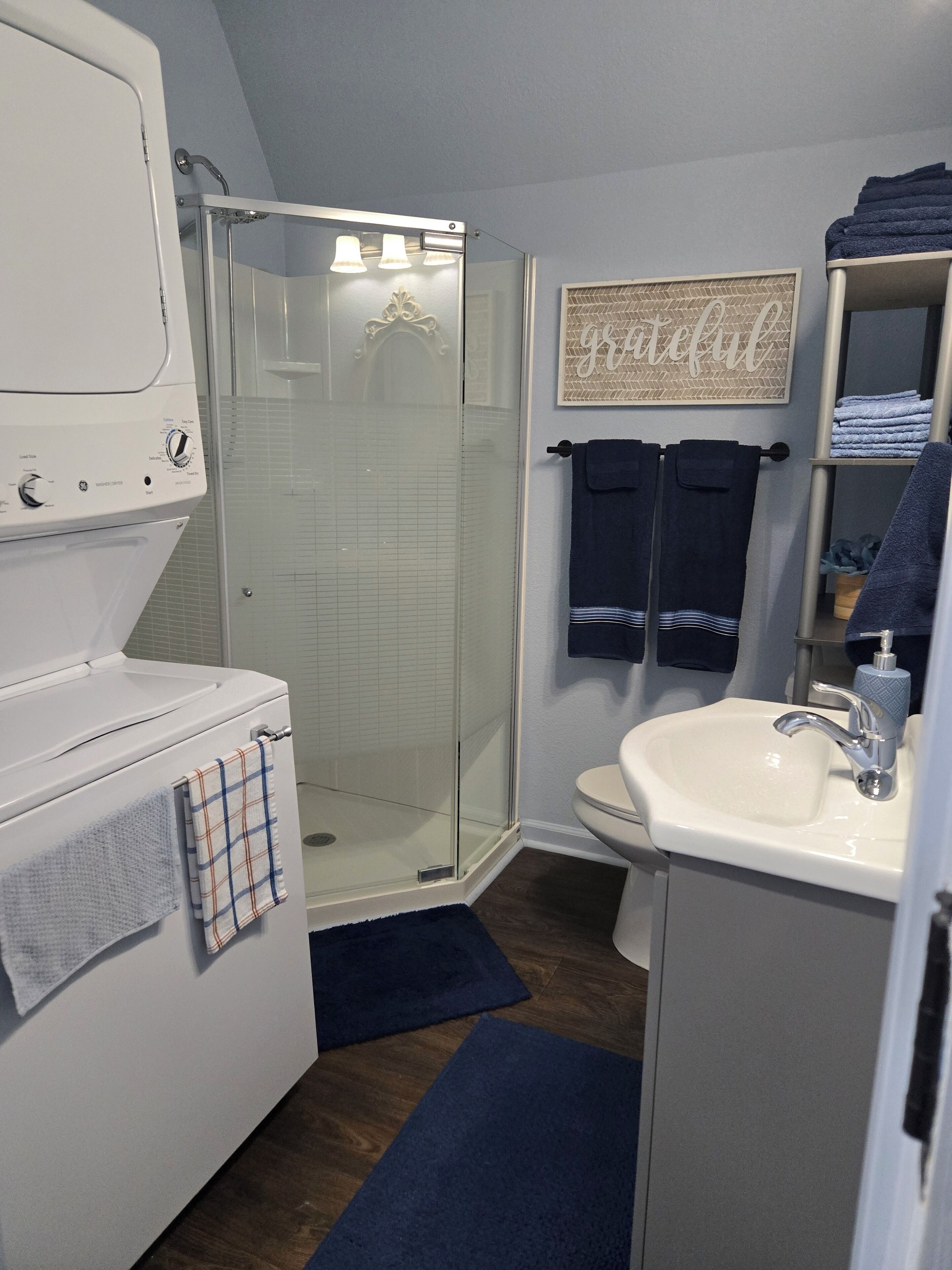 Shower, towels, toilet paper